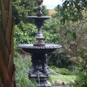 Morrab Gardens 2008