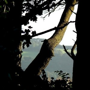 Pleasant View - 01
