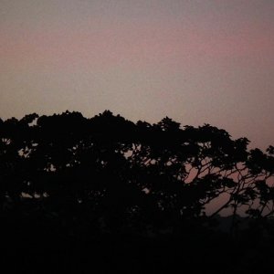 Pleasant View - 07