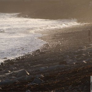 November Sun - 04