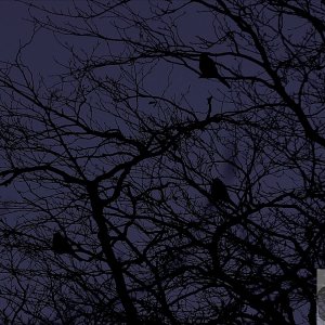 DecemberEve - 06
