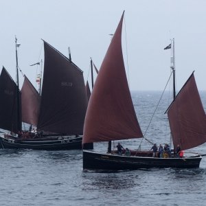 Maritime Festival - 74