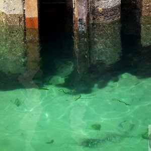 Sea Salts 3 - 75