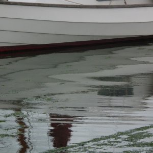 Sea Salts 3 - 83