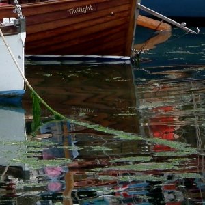 Sea Salts 3 - 85