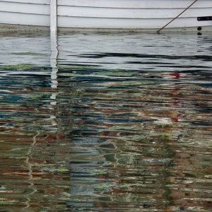 Sea Salts 3 - 87