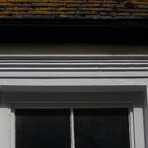 Scroot - 10