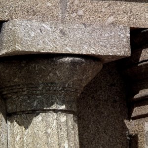 Scroot - 12
