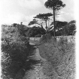 Path between the cemetery and cricket field.