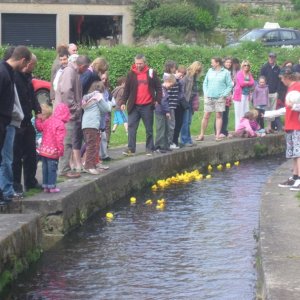 The Annual Duck Race