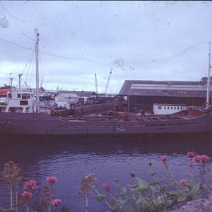 Docking of Pauline-S 8