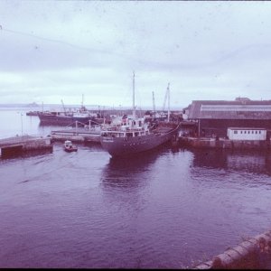 Docking of Pauline-S 12