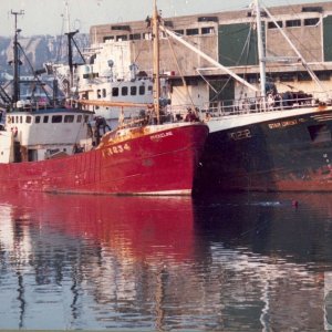 Harbour Scene