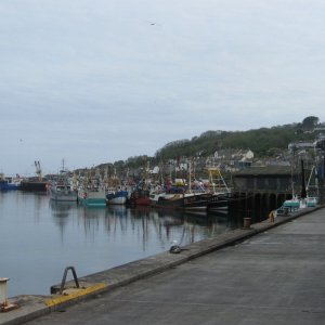 Harbour View