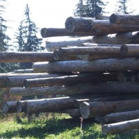 logs