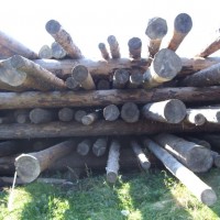 logs - 2