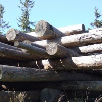 logs