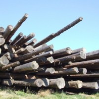 logs - 4