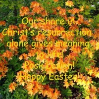 Our share in Christ's resurrection gives meaning to life!