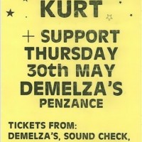 Demelza's Poster