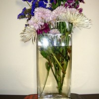 Still Life - Vase