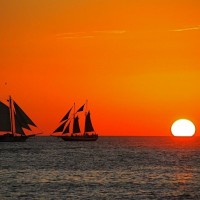 Sails in the Sunset