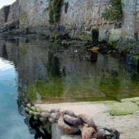 Old Quay Water