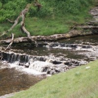 Stainforth Area