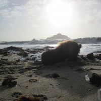 Sunrise over Mounts Bay