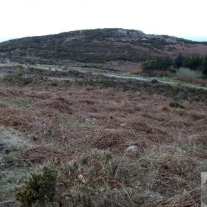 Rosewall Hill - 10th February, 2010