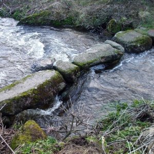 Sunday outing, 17th Jan, 2010: Primitive bridge at Penberth Cove