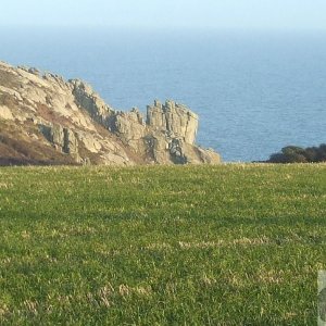 Sunday outing, 17th Jan, 2010: View of Cribba Headland