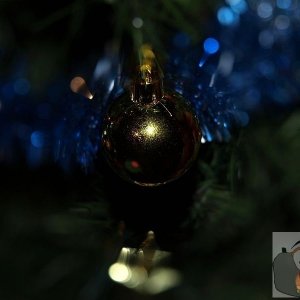 focus on the bauble