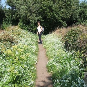 Day Trip to Scilly - 20th April, 2007