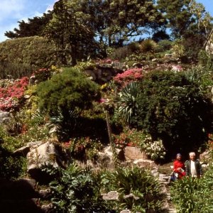 Tresco Gardens, Scilly