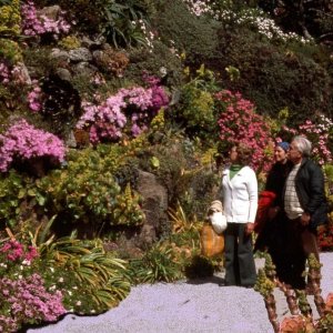 Admiring flowers, Tresco Gardens, Scilly