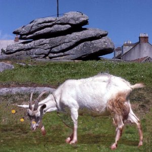 Goat and Union Flag commemorating Queen's Silver Jubilee, 1977