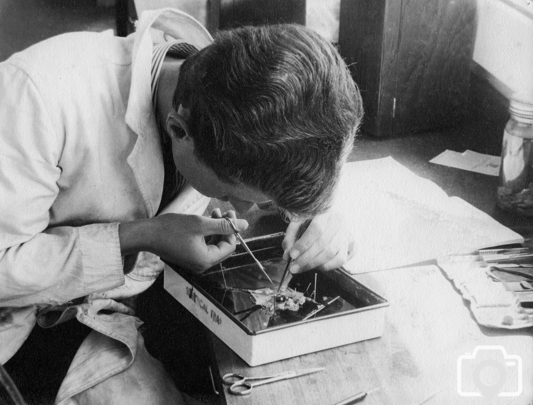 'A' level Biology Practical Disection 1962