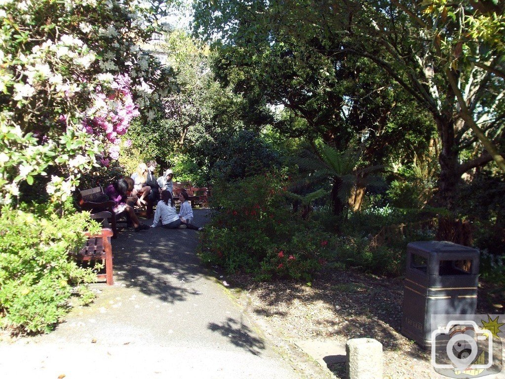 A shady nook in Morrab Gdns - 22may10