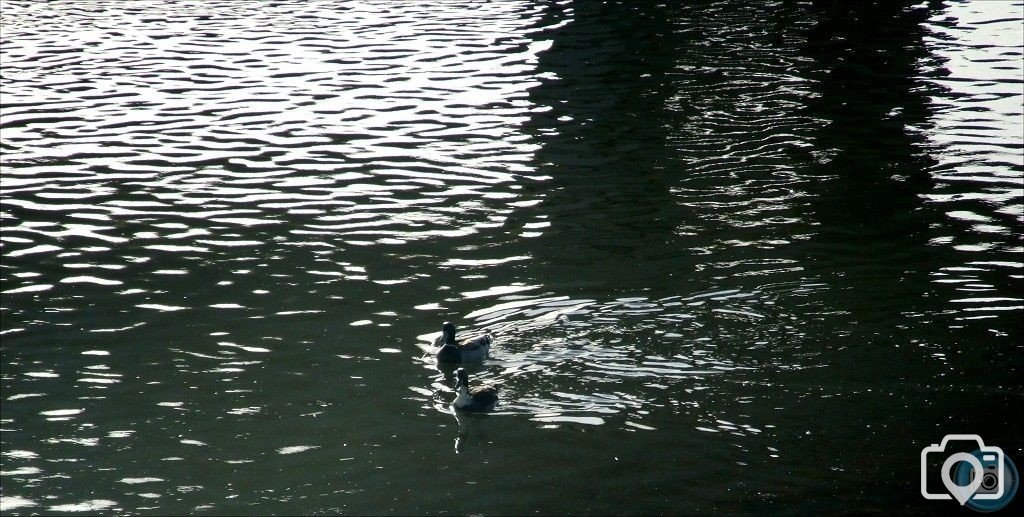 Barnstaple 11
