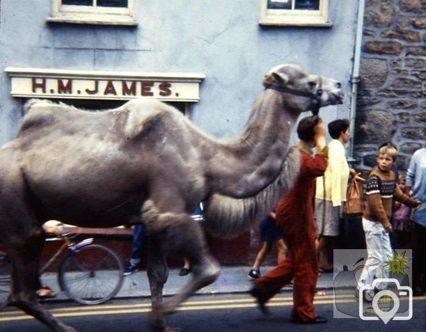 Circus Penzance 1970s