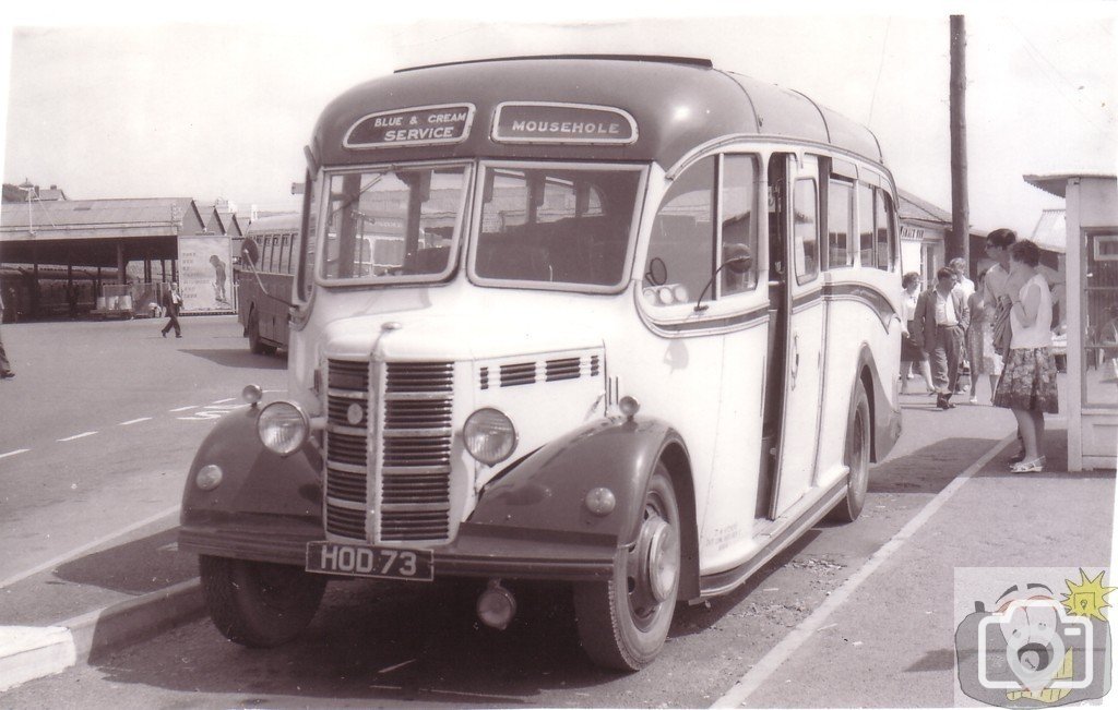 Harvey's buses