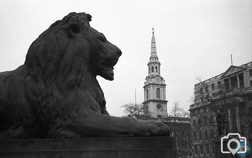 Landseer