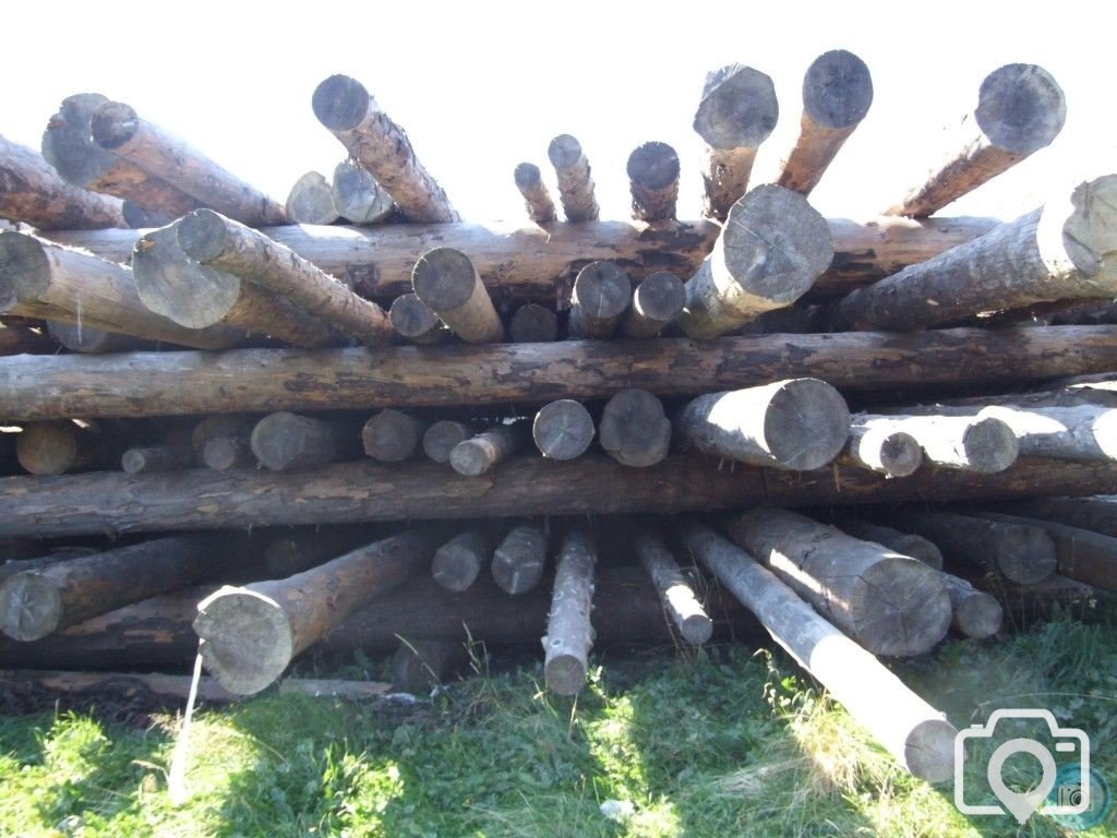 logs - 2