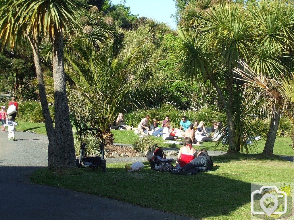 More young folk enjoying Morrab Gardens - 22May10