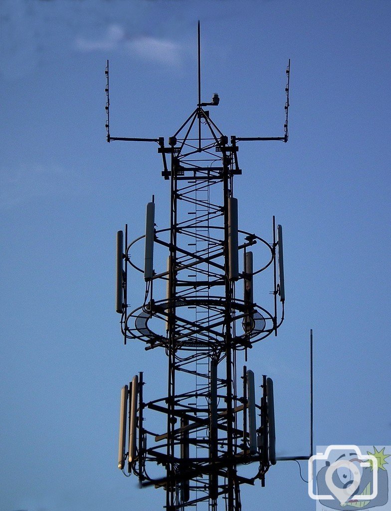 Morning Mast