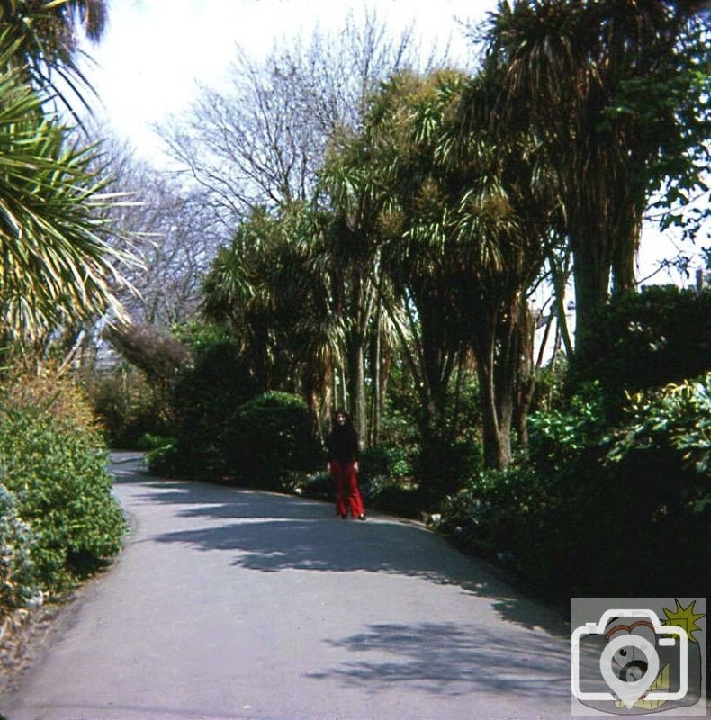 Near the lower entrance to Morrab Gardens, 1977