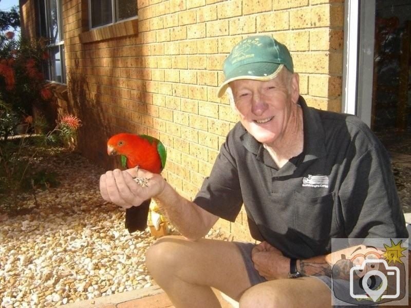 Noel feeding a King parrot