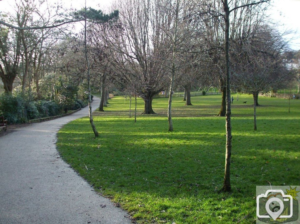 One of Penzance's green areas - Penlee Park - 19Feb10