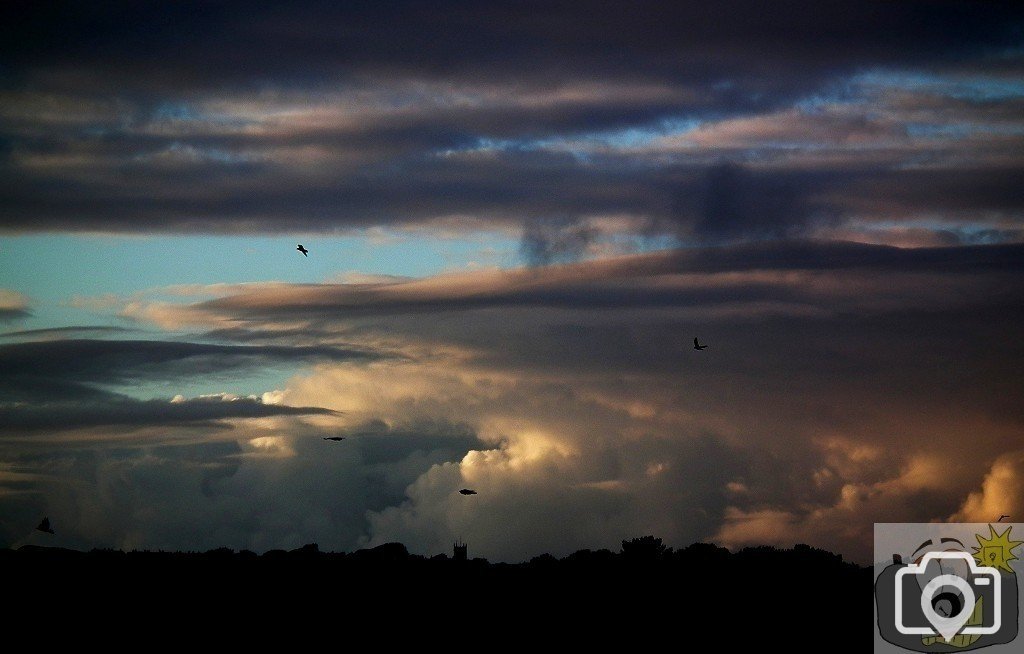 Pleasant Light Show - 01